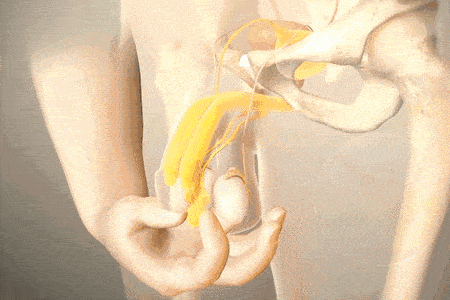 1754992471294625.gif 44.gif
